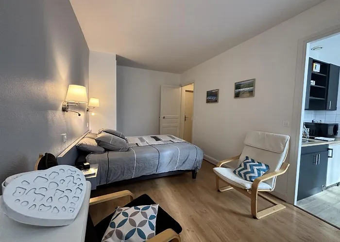 Le Sancy - Studio - 1 Lit - 2 Pers - Clim